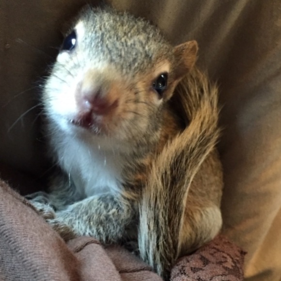 Meet your Posher, Maria - Picture 7 of 8